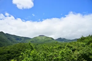 子供と那須旅行に行くなら、恐竜にいるホテルがおすすめ！